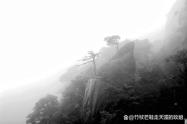 蜀门私服发布网站：隐匿于暗处的“灰色角落”